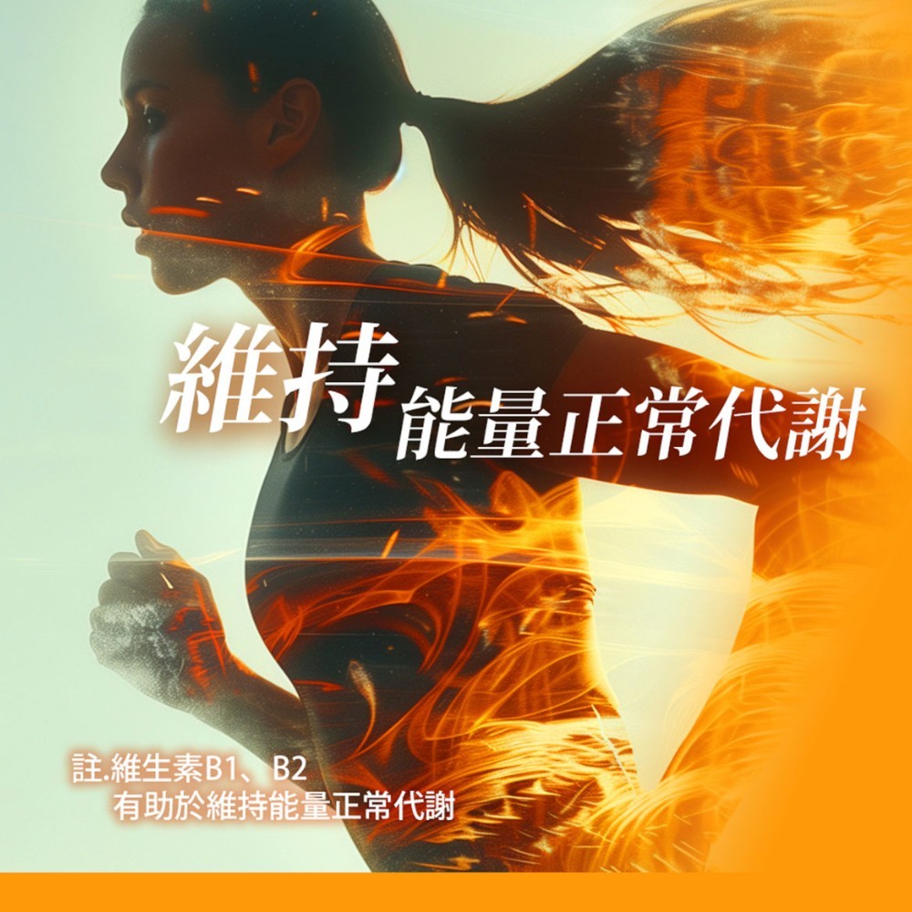 【日本味王】沛他麗命EX膜衣錠 30粒/盒 高單位B群 B1誘導體 TTFD 紅景天 牛磺酸 增強體力