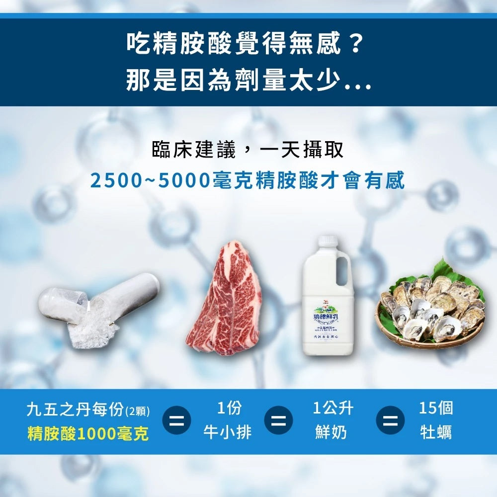 【九五之丹】飛龍．高純度左旋精胺酸 30粒/包 Kyowa 精胺酸 一氧化氮 促進代謝 精神旺盛 營養補給
