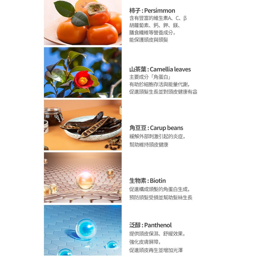 【SMIB】1000億乳酸菌染色洗髮精 200ml/盒 柔霧黑 自然棕 專利乳酸菌胜肽 溫和遮白 滋養頭皮