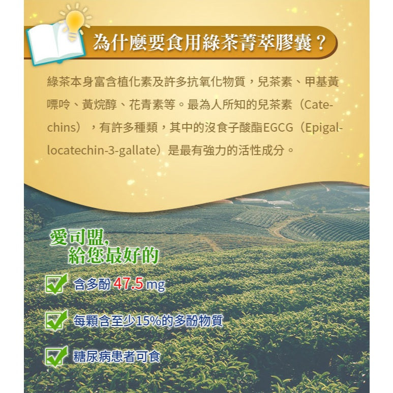 【愛司盟】綠茶菁萃膠囊 120顆/瓶 兒茶素 綠茶多酚 促進新陳代謝 養顏美容 調整體質
