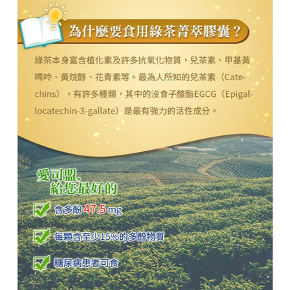 【愛司盟】綠茶菁萃膠囊 120顆/瓶 兒茶素 綠茶多酚 促進新陳代謝 養顏美容 調整體質