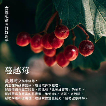 【Sanct Bernhard聖伯納德】蔓越莓膠囊 90顆/瓶 授權經銷 原廠公司貨 德國百年草本