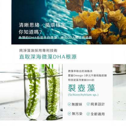 【Ruijia露奇亞】Omega純素藻油 60粒/盒 專利藻油 含DHA&EPA 全素可用 素魚油 孕哺推薦