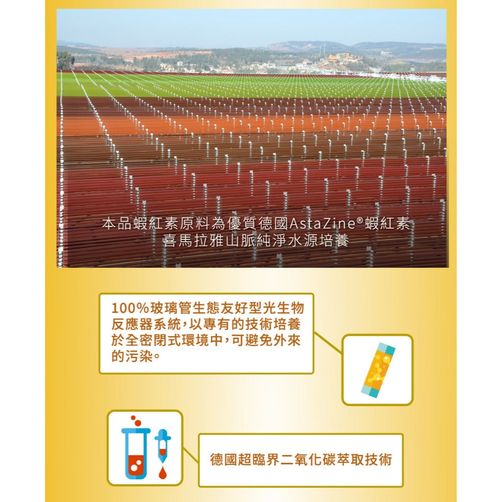 【三多】金盞花葉黃素Plus蝦紅素軟膠囊 50粒/盒 葉黃素+蝦紅素+DHA複方 日常營養補給 三多葉黃素