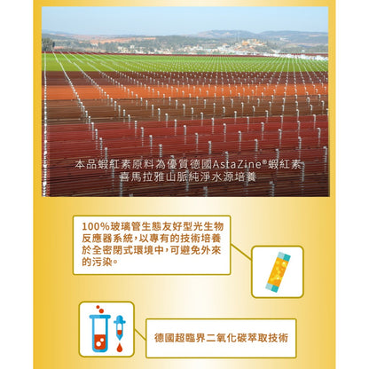 【三多】金盞花葉黃素Plus蝦紅素軟膠囊 50粒/盒 葉黃素+蝦紅素+DHA複方 日常營養補給 三多葉黃素