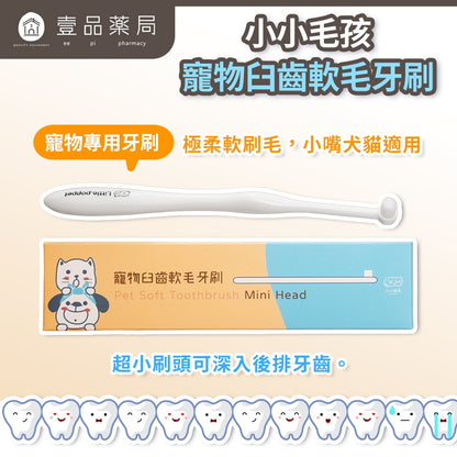 【小小毛孩】寵物臼齒軟毛牙刷 1入 PBT超柔軟刷毛 迷你刷頭 深入後排 潔牙無死角 新手推薦 犬貓適用