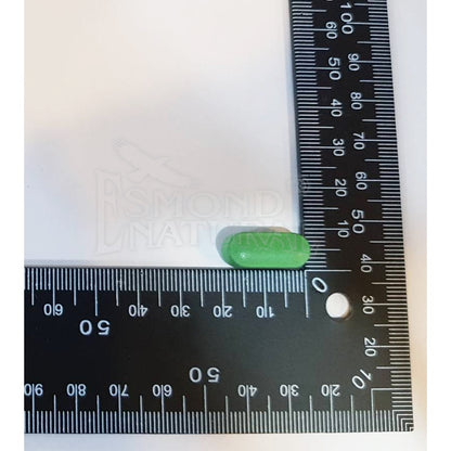 【愛司盟】明遠錠狀食品 60顆/瓶 葉黃素 金盞花 山桑子 複方成分 全素 晶亮有神 舒適明亮