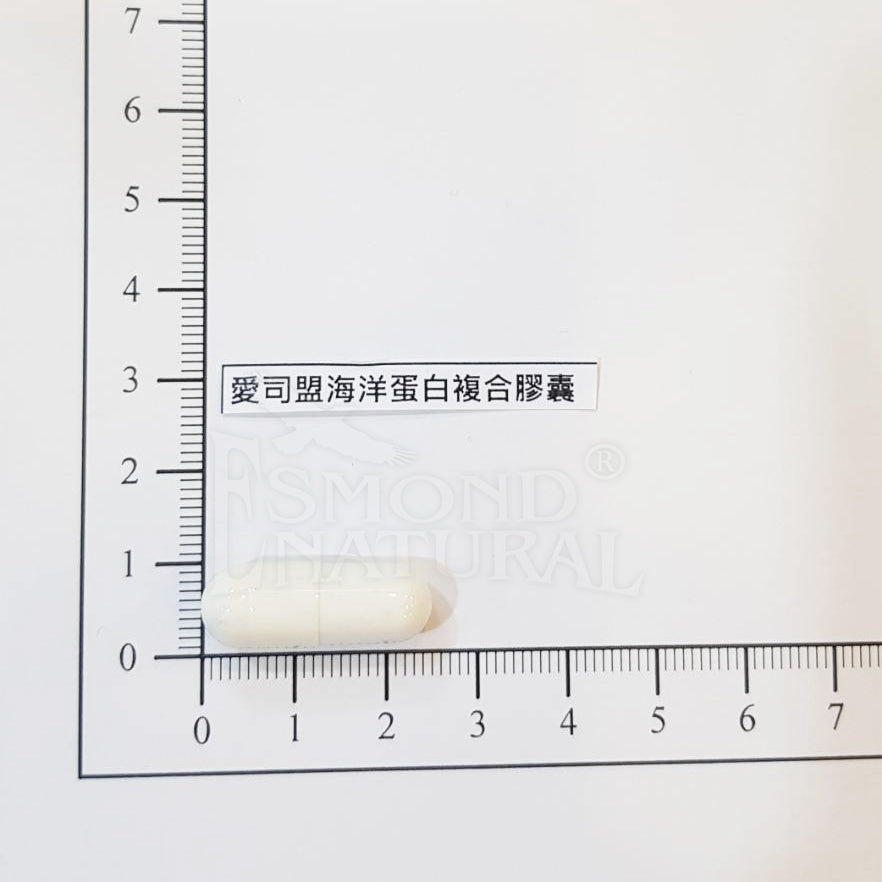 【愛司盟】海洋蛋白複合膠囊 60顆/瓶 水解膠原蛋白 維生素C 玻尿酸 養顏美容 增添好氣色
