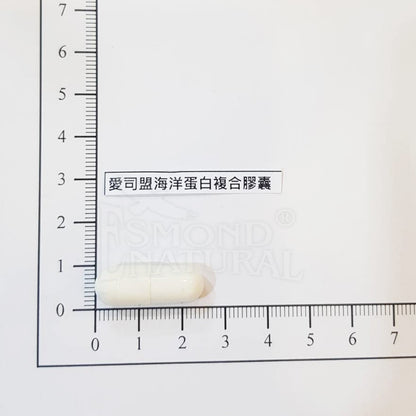 【愛司盟】海洋蛋白複合膠囊 60顆/瓶 水解膠原蛋白 維生素C 玻尿酸 養顏美容 增添好氣色