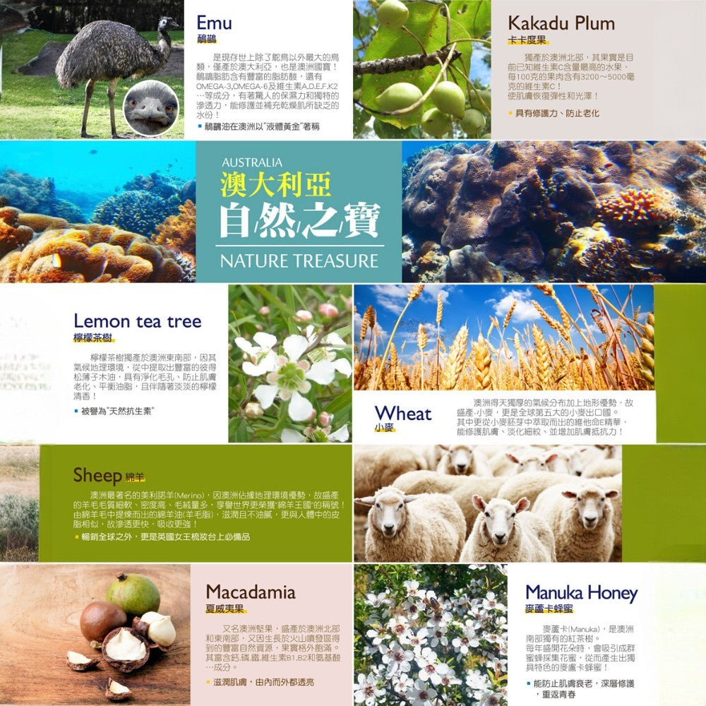 【澳洲G&M】綿羊霜 鴯鶓保濕霜 晚霜 維他命E修護 霜酪梨滋養霜