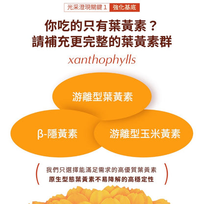 【百醫生技】金盞花山桑子軟膠囊 60顆/盒 游離型葉黃素 PTP獨立排裝 攜帶方便 9合1專利配方 光采澄現