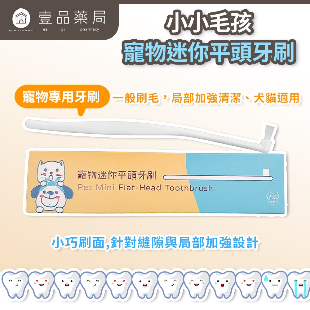 【小小毛孩】寵物迷你平頭牙刷 1入 PBT超柔軟刷毛 小巧刷面 局部加強 齒縫清潔 告別牙垢 寵物牙刷
