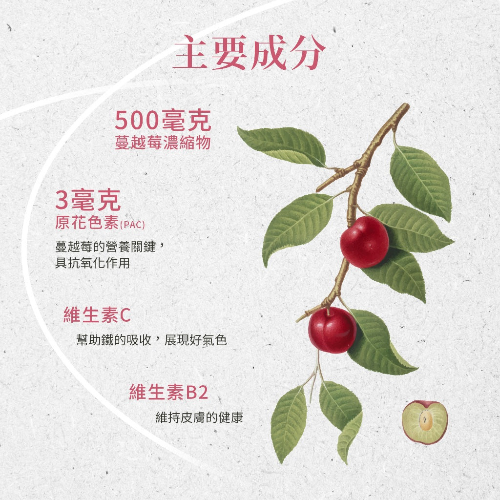 【Sanct Bernhard聖伯納德】蔓越莓膠囊 90顆/瓶 授權經銷 原廠公司貨 德國百年草本