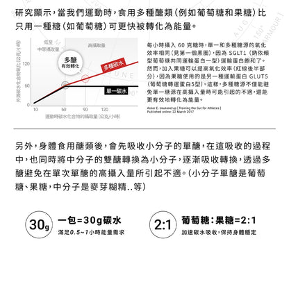 【GA黃金甲】4號太空能量膠 10包/盒 GA GEL 三鐵 馬拉松 指定補給 運動補給 能量補給