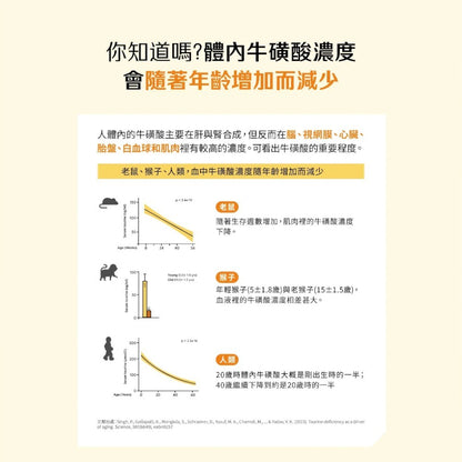 【Betery】牛磺酸鎂膠囊 60顆/袋 運動前後補給 日本進口牛磺酸 維生素B群 無咖啡因 能量補給