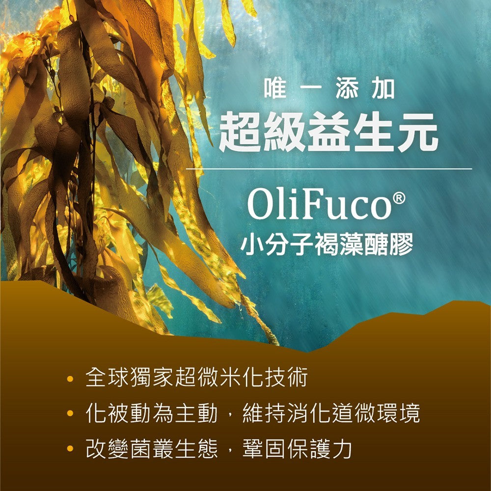 【HiQ中華海洋生技】褐益菌暢健雙重配方 30包/盒 褐藻醣膠 專利菌株 病後補給 HiQ益生菌