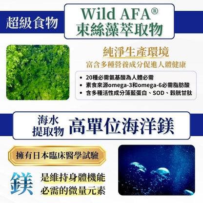 【亞馬生醫】速清體膠囊 60顆/盒 專利纖維 蔬果酵素 束絲藻 順暢代謝 幫助消化 調整體質 日常保養