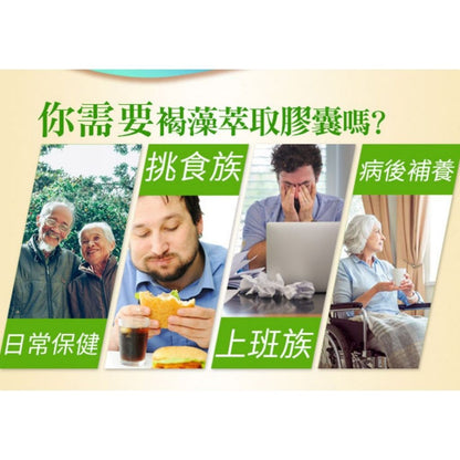 【愛司盟】褐藻萃取膠囊 90顆/瓶 80%高濃度褐藻醣膠 加拿大墨藻膠 調節生理機能 術後補給
