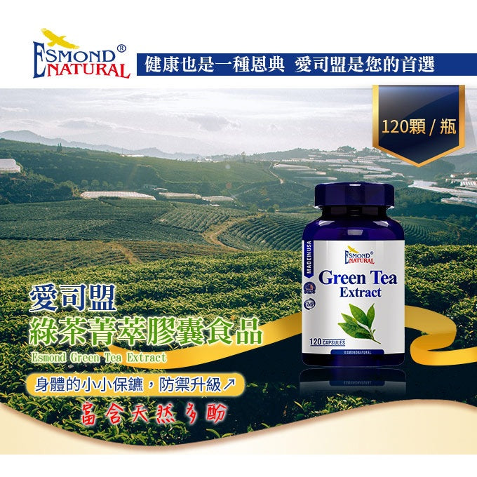 【愛司盟】綠茶菁萃膠囊 120顆/瓶 兒茶素 綠茶多酚 促進新陳代謝 養顏美容 調整體質