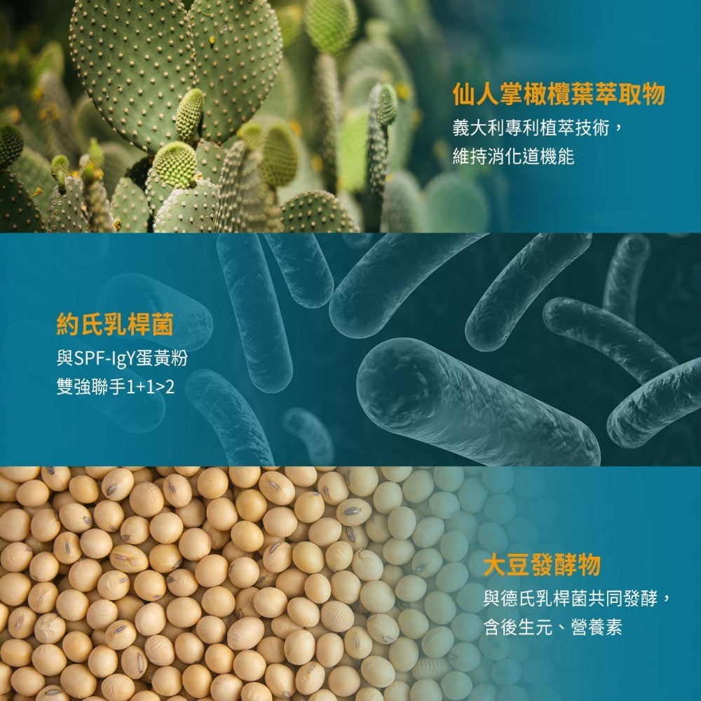 【淨旦生技】護衛君即行Plus 4包/組 消化酵素 牛蒡萃取 麩醯胺酸 SPF-IgY蛋黃粉 餐後保衛