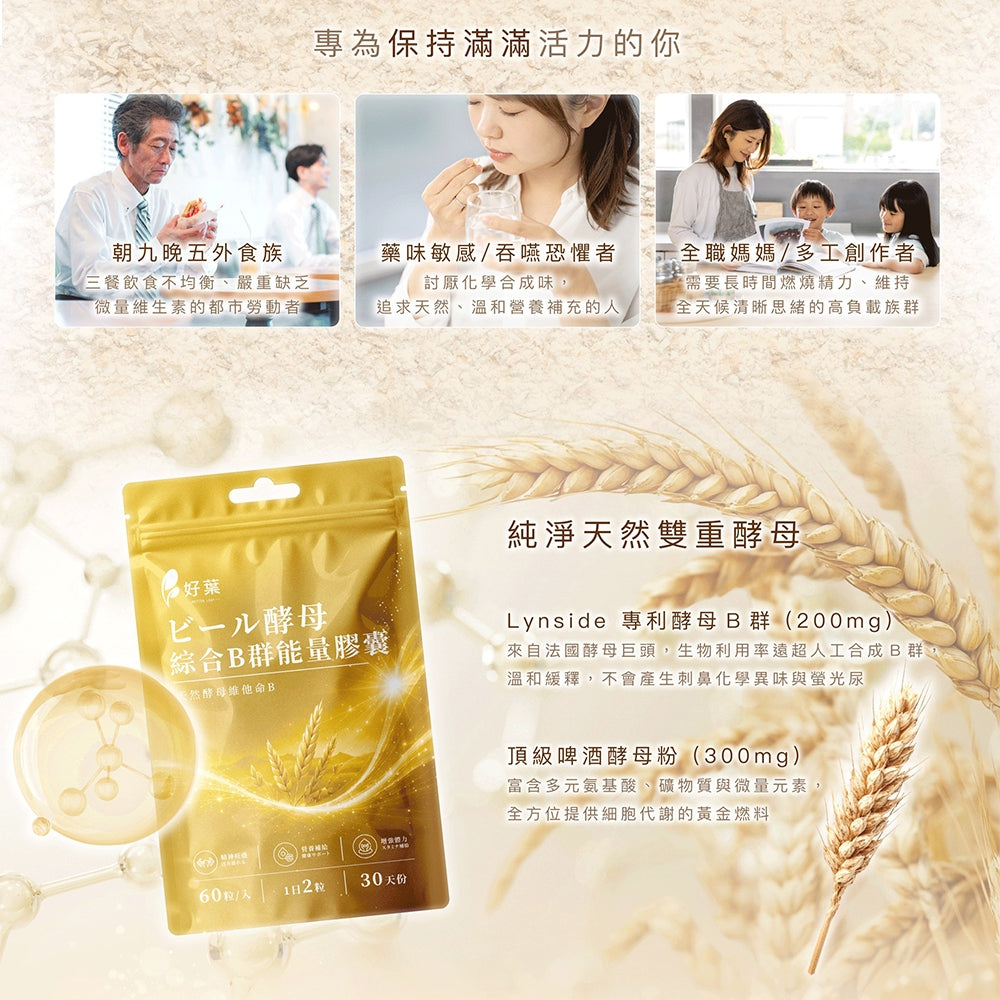 【好葉】酵母綜合B群能量膠囊 60粒/袋 法國酵母B群 長效緩釋 啤酒酵母300mg 日常保養 營養補給