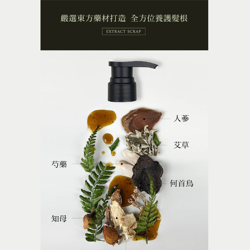 【KAFEN卡氛】草本洗髮精 300ml/瓶 艾草 芍藥 龍膽草 天然草本 豐盈蓬鬆 控油保濕 滋養髮絲