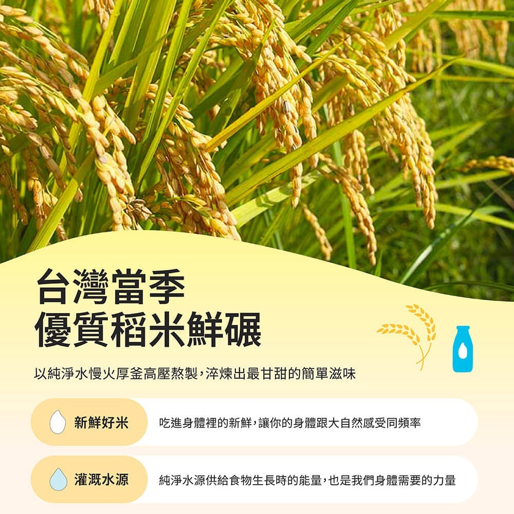 【掌生穀粒】糜咕熬米湯 12瓶/箱 霧峰益全香米 100%無添加 溫潤滋補 寶寶副食品 銀髮族補品 養生即飲
