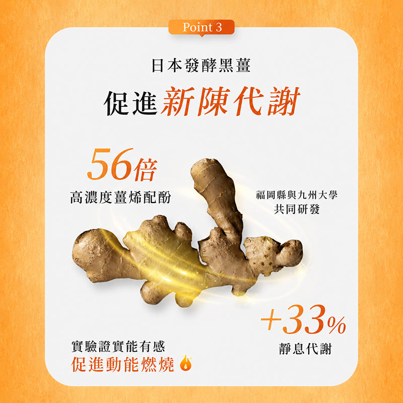 【沃爾司】食事安心-輕清酵膠囊 30顆/盒 添加8大益菌 19種酵素 日本黑薑 提升代謝 排便順暢 輕盈管理