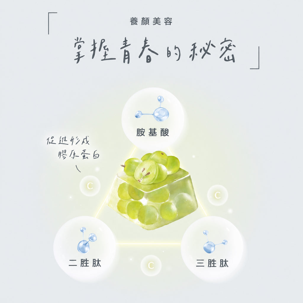 【Body Goals】ZERO美妍膠原凍 白葡萄口味 130g/包 魚膠原蛋白 維生素C 零卡蒟蒻 零熱量