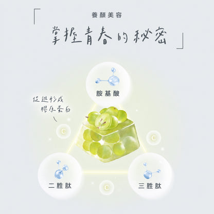 【Body Goals】ZERO美妍膠原凍 白葡萄口味 130g/包 魚膠原蛋白 維生素C 零卡蒟蒻 零熱量