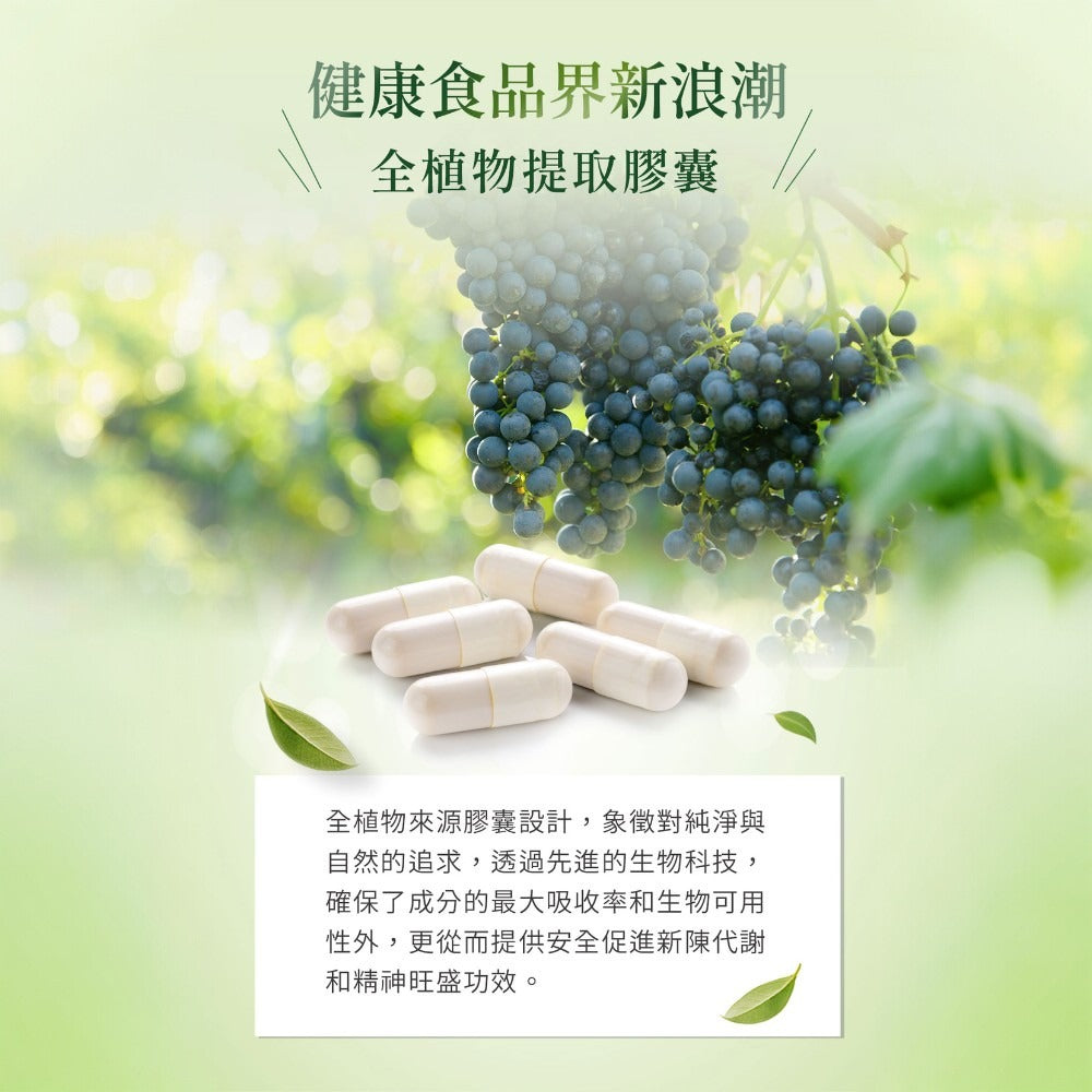 【MERGEN默根】重酒石酸膽鹼膠囊 60顆/盒 西班牙來源 思緒清晰 提升注意力 靈活應對 全素可食