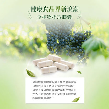 【MERGEN默根】重酒石酸膽鹼膠囊 60顆/盒 西班牙來源 思緒清晰 提升注意力 靈活應對 全素可食