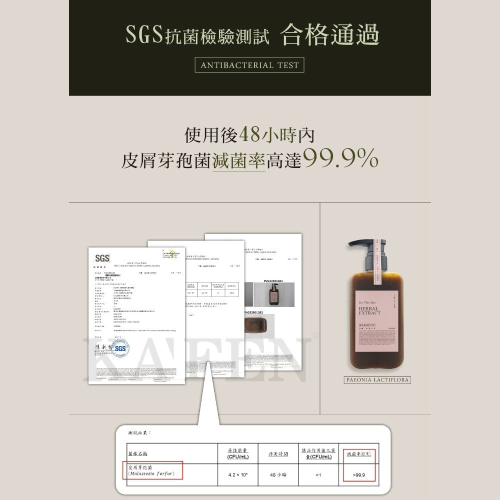 【KAFEN卡氛】草本洗髮精 300ml/瓶 艾草 芍藥 龍膽草 天然草本 豐盈蓬鬆 控油保濕 滋養髮絲