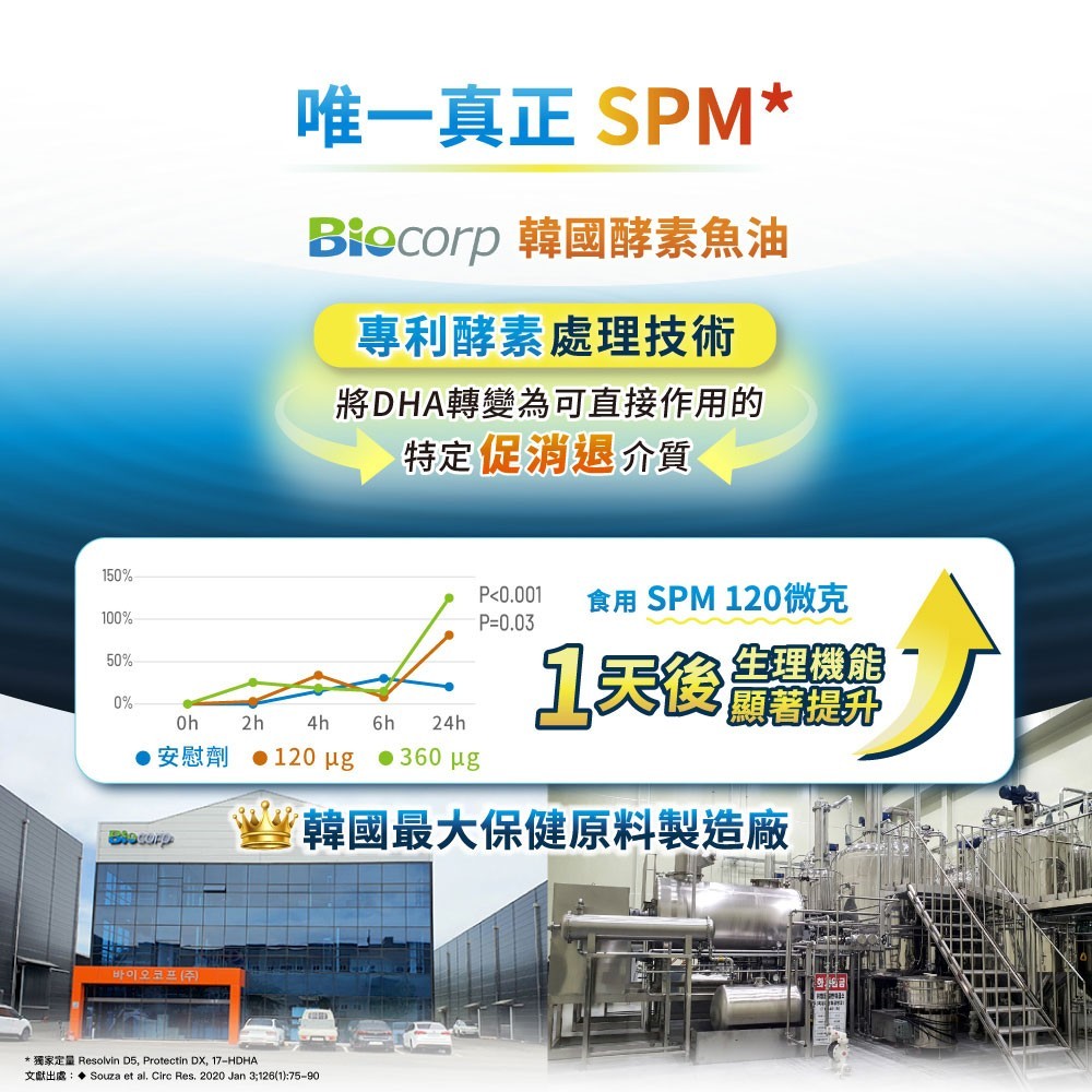 【松瑞製藥】95%速酵魚油SPM+軟膠囊 60顆/盒 高濃度rTG 專利SPM+EPA 小顆好吞