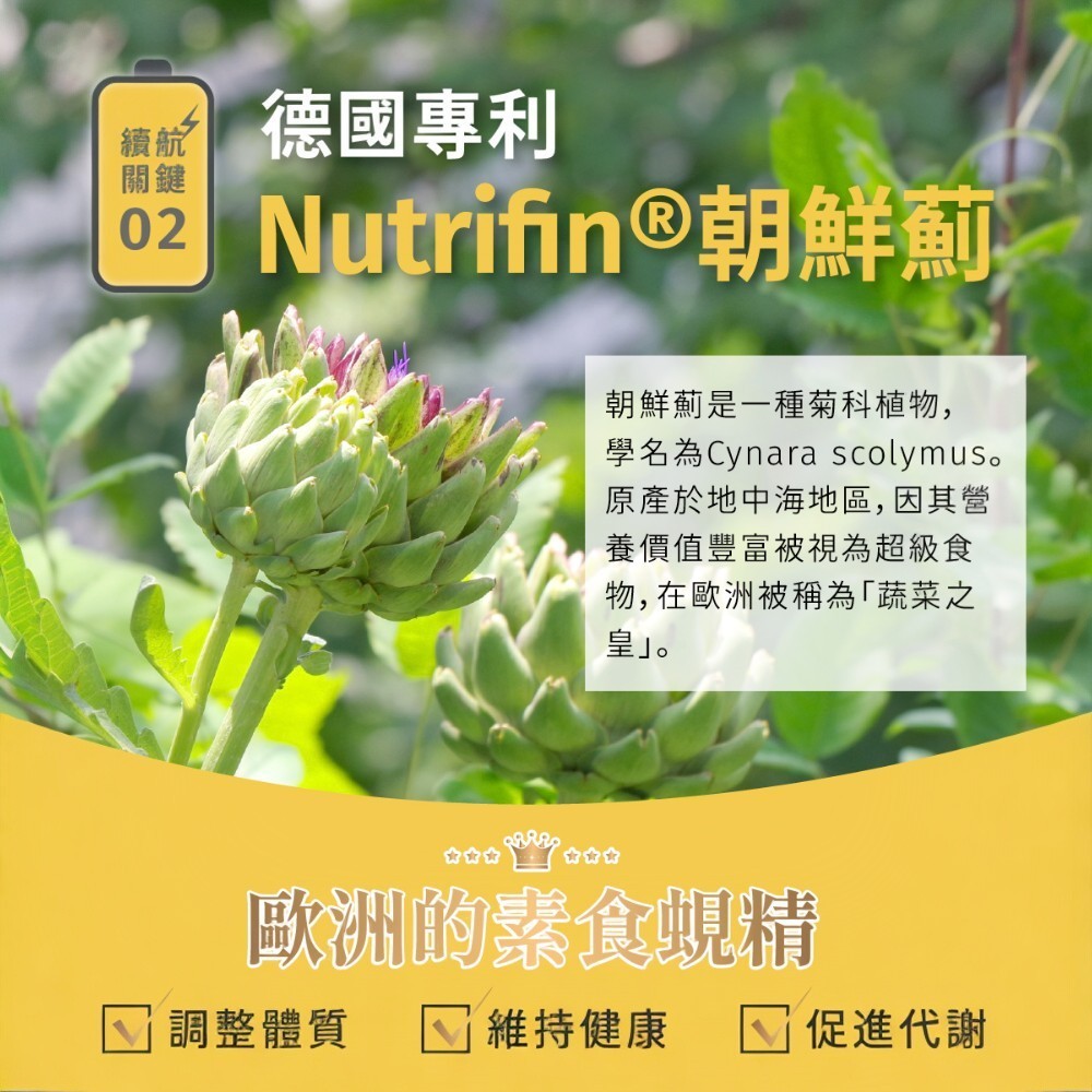【好好時養】丑時計畫-董事B群 30顆/包 天然酵母B群 德國專利朝鮮薊 日本奈米薑黃 應酬加班 補充活力
