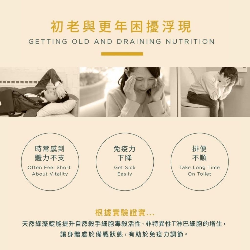 【味丹生技】天然綠藻錠 600錠/盒 健康食品認證 嚴選綠藻 純素 提升保護力 促進新陳代謝 營養補給