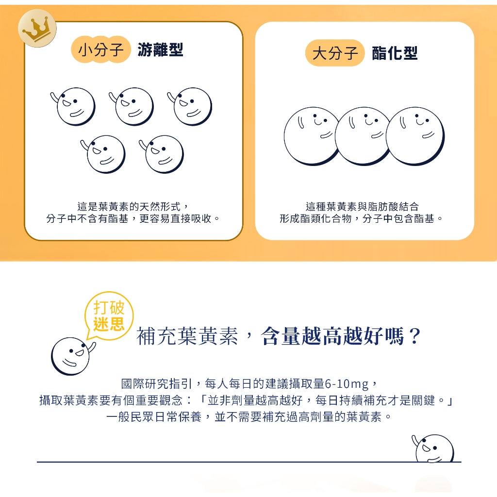 【味丹生技】金盞花葉黃素飲 10入/盒 專利黑番茄 黑醋栗 玻尿酸 花青素 綠藻 游離型葉黃素 3C族必備 商品介紹圖 2