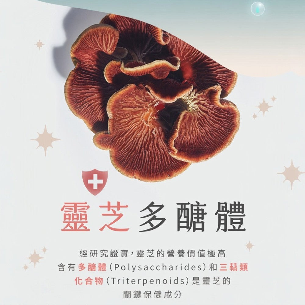【Plus Day】無敏專利益生菌 20包/袋 8種益菌群 靈芝多醣體 對抗換季 舒緩護敏 調節體質 商品介紹圖 7