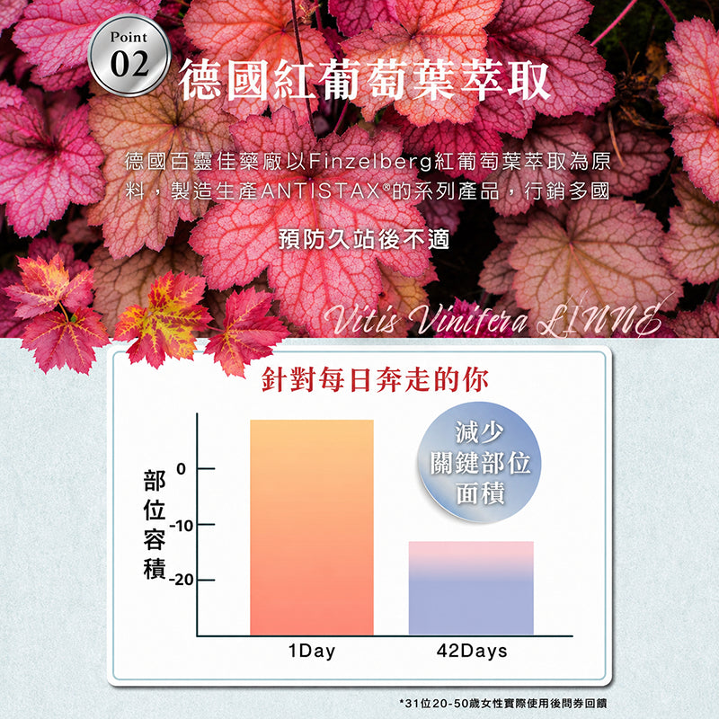 【沃爾司】食事安心-孅女茶 15包/盒 專利六種天然植萃 洛神風味 冷水沖泡 輕盈管理 提升代謝