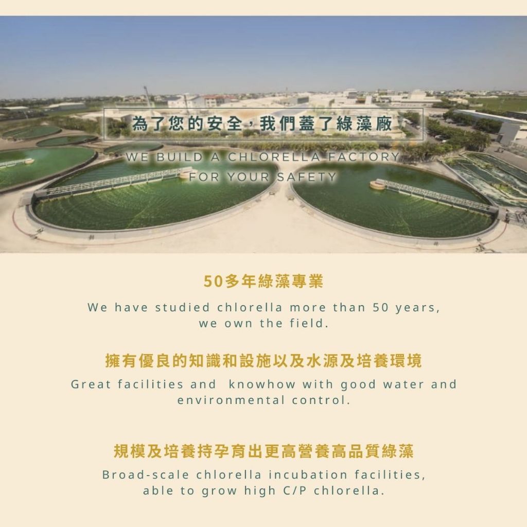 【味丹生技】天然綠藻錠 600錠/盒 健康食品認證 嚴選綠藻 純素 提升保護力 促進新陳代謝 營養補給