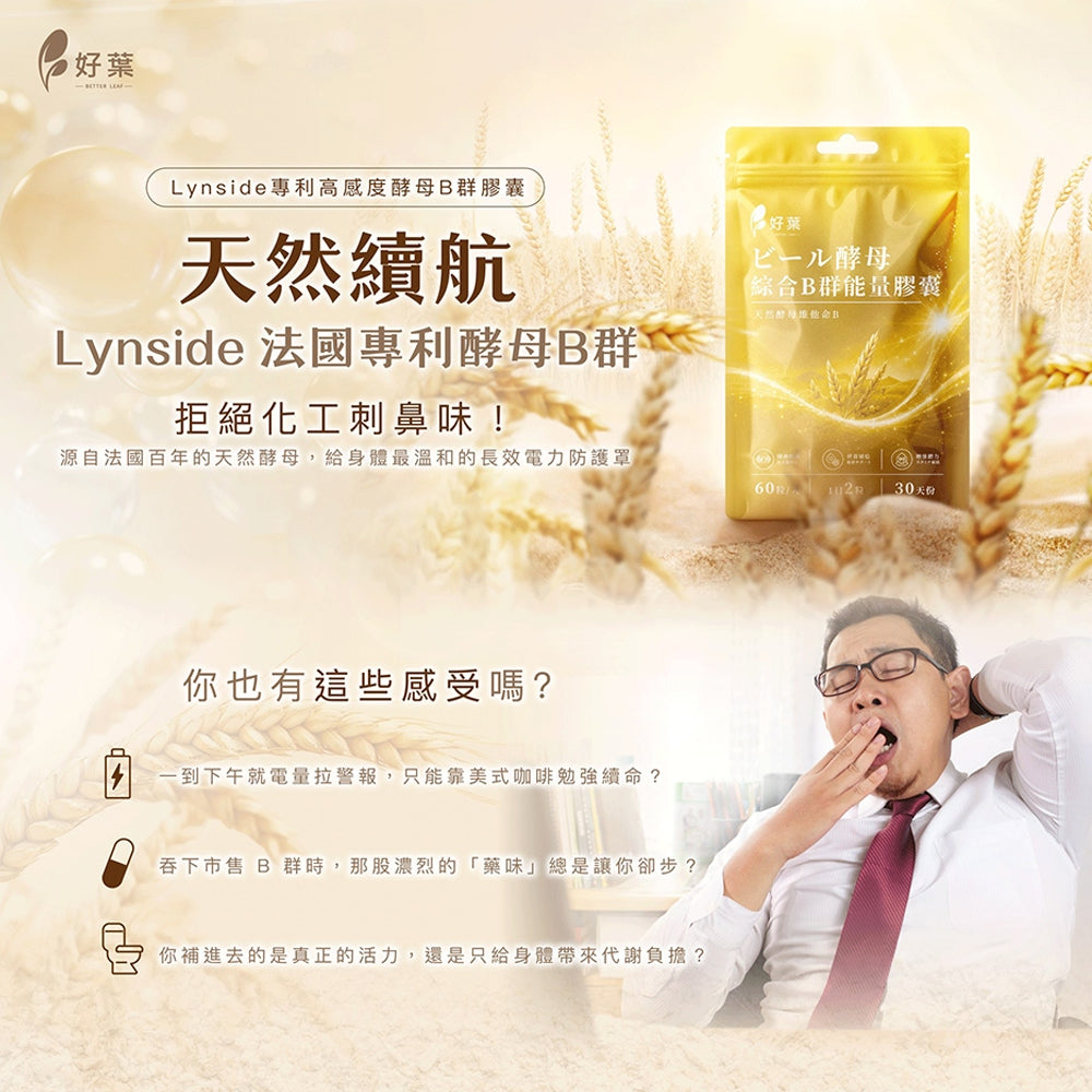 【好葉】酵母綜合B群能量膠囊 60粒/袋 法國酵母B群 長效緩釋 啤酒酵母300mg 日常保養 營養補給