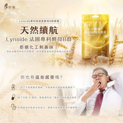 【好葉】酵母綜合B群能量膠囊 60粒/袋 法國酵母B群 長效緩釋 啤酒酵母300mg 日常保養 營養補給