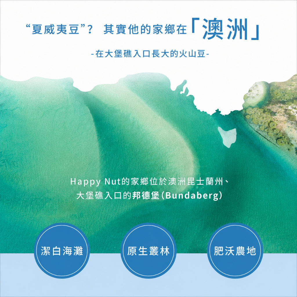 【HappyNut】澳洲帶殼火山豆(附開殼工具) 225g 原味 蜂蜜海鹽香草椰香斑蘭肉桂 澳洲產 夏威夷豆