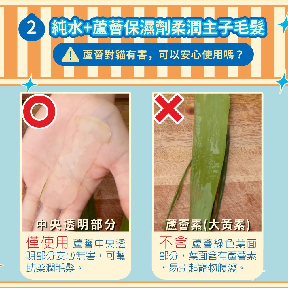 【臭味滾ODOUT】貓咪專用除臭抑菌濕紙巾 50抽/包 不含酒精 潔淨去味 植萃保濕 溫和清爽 寵物清潔