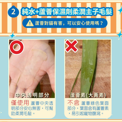 【臭味滾ODOUT】貓咪專用除臭抑菌濕紙巾 50抽/包 不含酒精 潔淨去味 植萃保濕 溫和清爽 寵物清潔