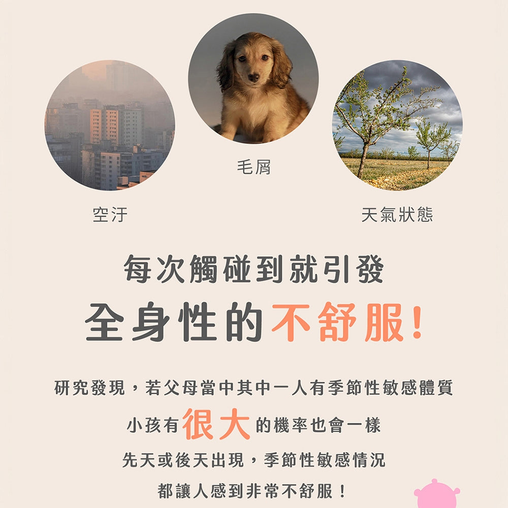 【Plus Day】無敏專利益生菌 20包/袋 8種益菌群 靈芝多醣體 對抗換季 舒緩護敏 調節體質
