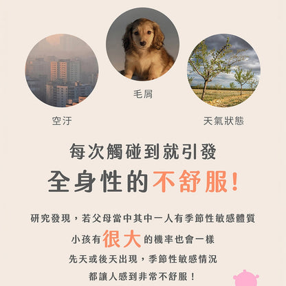 【Plus Day】無敏專利益生菌 20包/袋 8種益菌群 靈芝多醣體 對抗換季 舒緩護敏 調節體質
