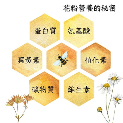 【泉發蜂蜜】蒲鹽花粉 150g 天然花粉 九道工序挑選 台灣蜂場 低溫烘乾 富含維生素礦物質