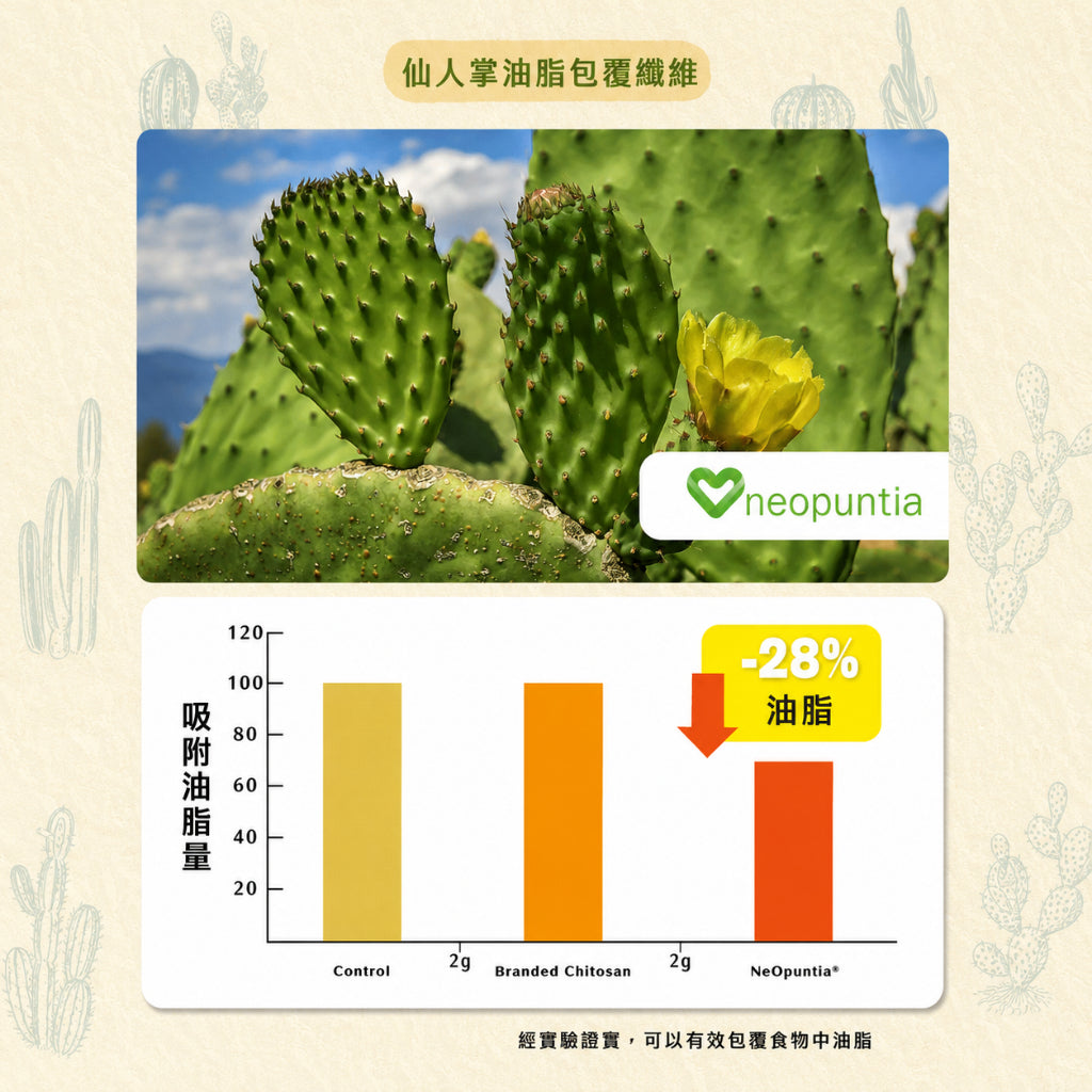 【沃爾司】食事安心-油擊手膠囊 30顆/盒 複方植萃配方 甲殼素 酵素 餐前補充 外食聚餐 輕盈管理 商品介紹圖 5