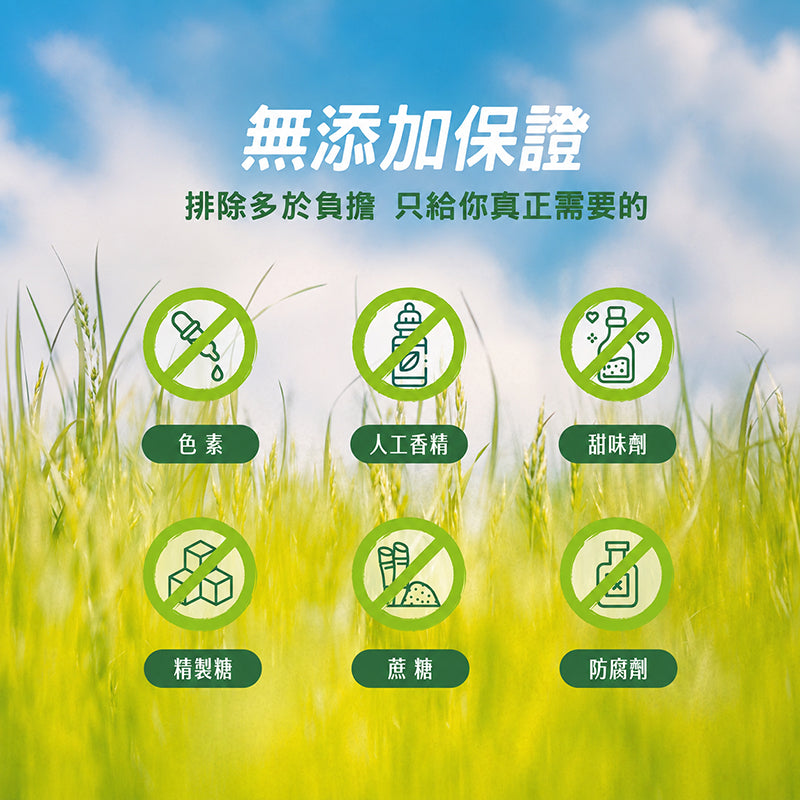 【沃爾司】食事安心-輕纖益350億益生菌粉包 15包/盒 專利益生菌+益生元+後生元 菊苣纖維 舒適順暢 商品介紹圖 6